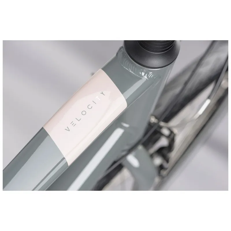 Ridgeback Velocity Grey-7